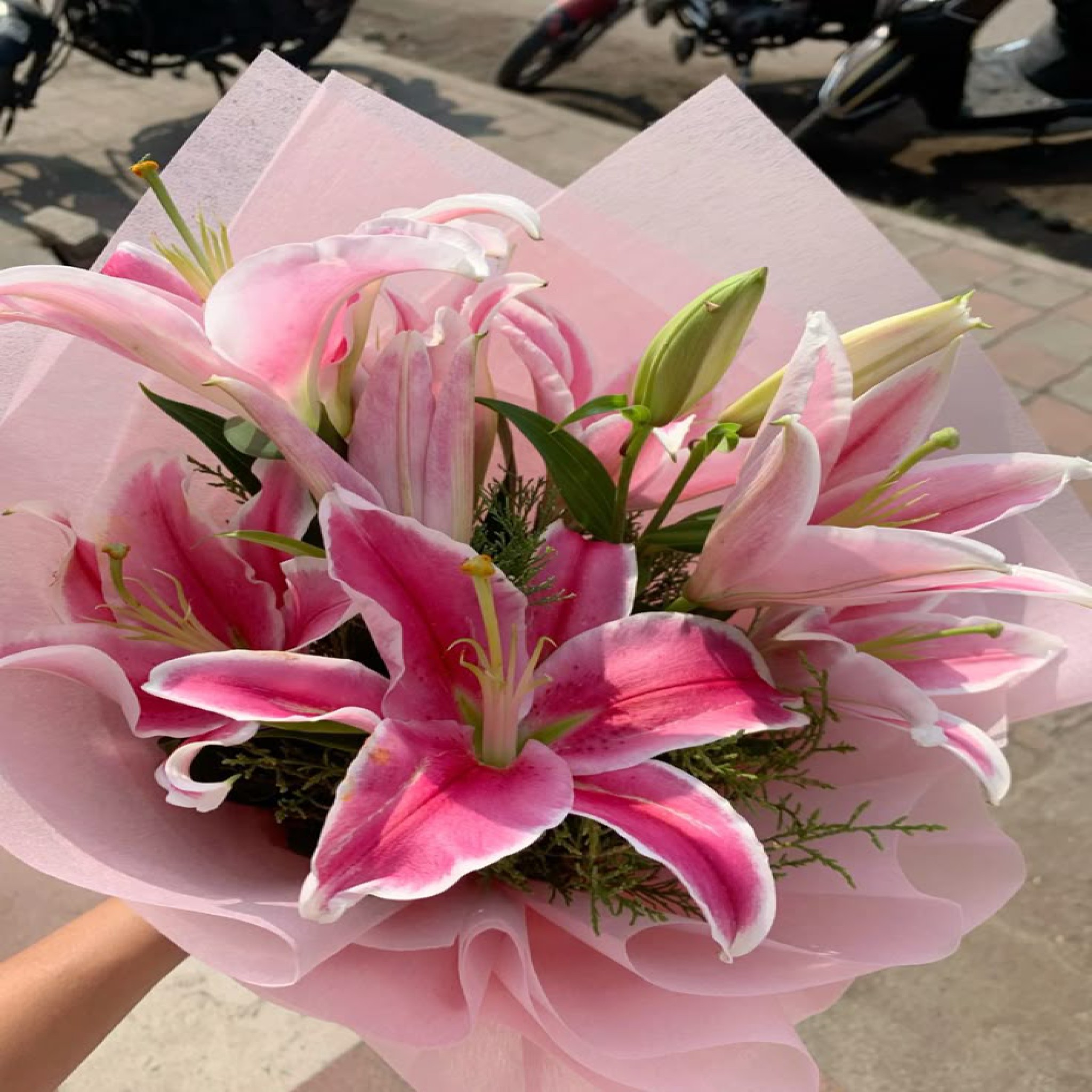 Timeless Lily Beauty (LF-ID#0002)